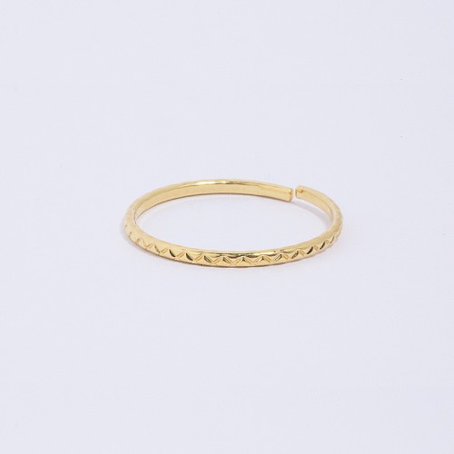 BAGUE POLLA